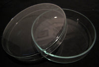 Petri dish in glassFloby Överskottslager