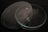 Petri dish in glassFloby Överskottslager